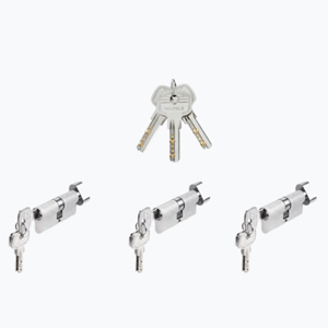 Bộ 3 ruột khóa chìa chủ một cấp Hafele 489.56.410