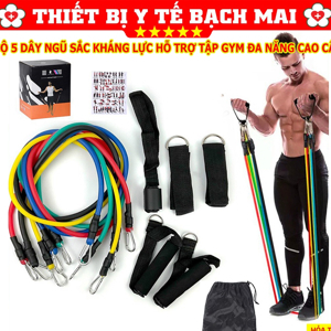 Bộ 5 dây đàn hồi Resistant Band