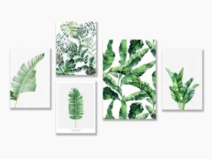 Bộ 5 tranh Botanical Fern Leaves Watercolor