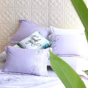 Bộ chăn ga gối Edena Tencel ED742