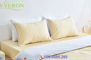 Bộ chăn ga gối Everon Cotton SM21010