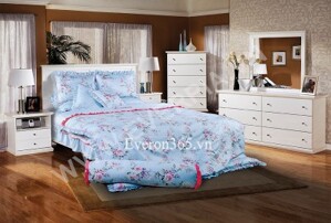Bộ chăn ga gối Everon EP1523