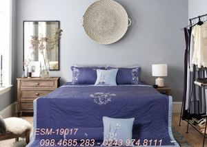 Bộ chăn ga gối Everon ESM19017