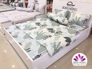 Bộ chăn ga gối Sông Hồng Elegance E19M01