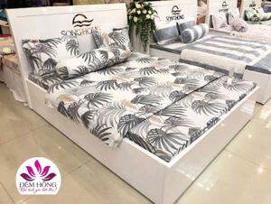 Bộ chăn ga gối Sông Hồng Elegance E19M02