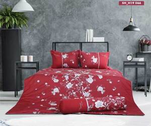 Bộ chăn ga gối Sông Hồng Home Collection H19 066