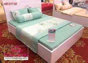 Bộ chăn ga gối Sông Hồng Home Collection S1705