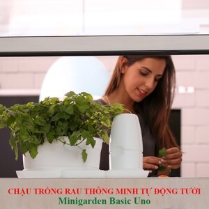 Bộ chậu trồng cây tự động tưới thông minh Minigarden Basic Uno