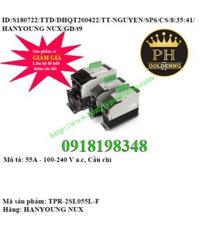 Bộ chỉnh lưu Hanyoung TPR-2SL055L-F