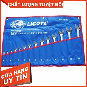 Bộ cờ lê vòng miệng Licota AWT-ERSK05A (8-32mm)