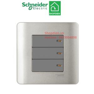 Bộ công tắc ba 1 chiều Zencelo Schneider E8433_1_SA_G19