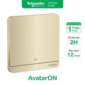 Bộ công tắc đơn 2 cực 20A Schneider E8331D20N_WG