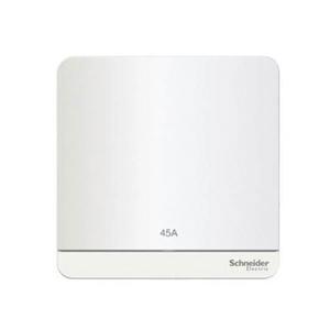 Bộ công tắc đơn 2 cực 45A Schneider E8331D45N_WE