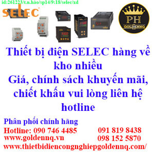 Bộ đếm thời gian Selec TT412