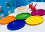 Bộ đĩa màu Rainbow 5P HPP513S5