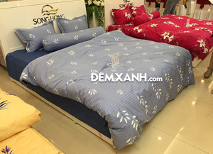 Bộ ga gối Sông Hồng Cotton C19C67