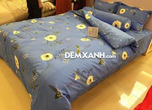 Bộ ga gối Sông Hồng Cotton C19C75