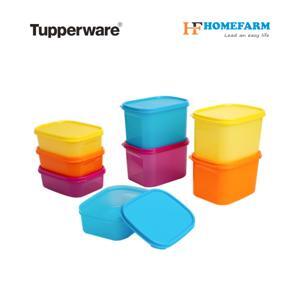 Bộ hộp Colorful Rectangular 8
