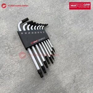 Bộ lục giác sao Holex 624921 8