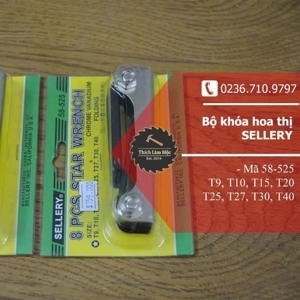 Bộ lục giác Sellery 58-525, 8 cây