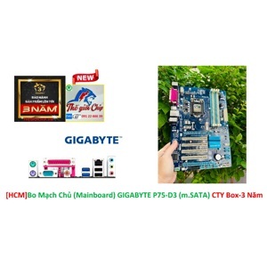 Bo mạch chủ - Mainboard Gigabyte GA P75-D3