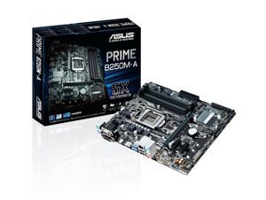 Bo mạch chủ - Mainboard Asus Prime B250M-A