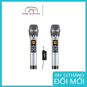 Bộ micro không dây Sertong SER-K58