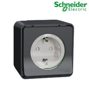 Ổ cắm đơn Schneider MUR36034 - 16A 2P+E