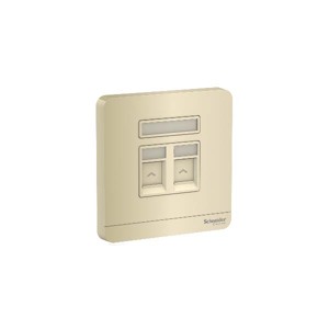 Bộ ổ cắm mạng Cat6 đôi AvatarON Schneider E8332RJS6_WG_G19
