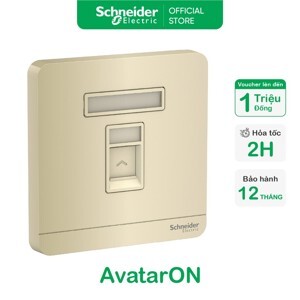 Bộ ổ cắm mạng đơn Cat5E Schneider E8331RJS5_WG