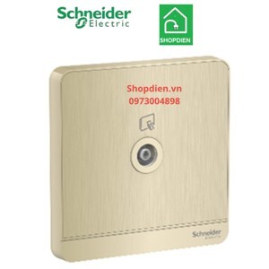 Bộ ổ cắm Tivi đơn AvatarON Schneider E8331TV_WG_G19