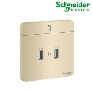 Bộ ổ sạc USB đôi Schneider AvatarON E8332USB_WG_G19