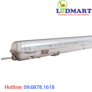 Bộ Tube chống ẩm Rạng Đông BD LN CA01L TT01/20Wx1