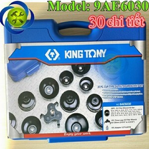 Bộ vam tháo lọc dầu Kingtony 9AE6030 - 30 chi tiết