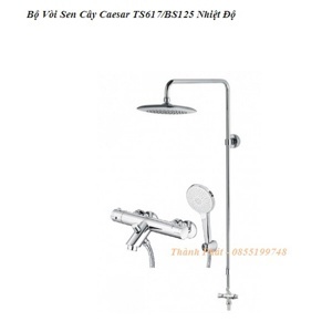 Bộ vòi sen cây Caesar TS617/BS125