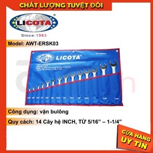 Bộ vòng miệng hệ inch 14 cây Licota AWT-ERSK03