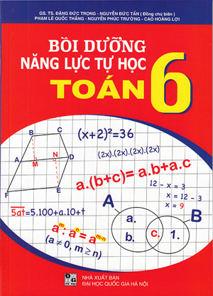 Bồi dưỡng năng lực tự học Toán 6