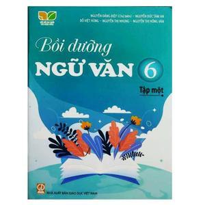 Bồi dưỡng Ngữ Văn 6