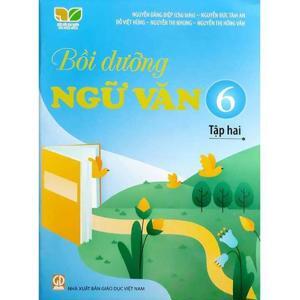 Bồi dưỡng Ngữ Văn 6