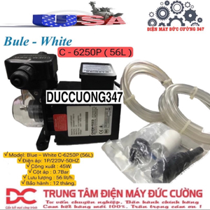 Bơm định lượng Blue White C6125-P