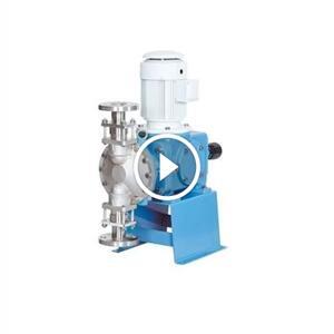 Bơm định lượng dạng màng Cheonsei KDV-21H-PTC-FWX