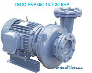 Bơm ly tâm dạng xoáy đầu gang Teco HVP350-13.7 20 5HP