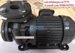 Bơm ly tâm dạng xoáy đầu gang Taiwan HVP340-1.75 20 (1HP)