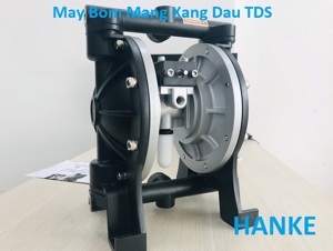 Bơm màng khí nén TDS DS06-AAT-TATS-02