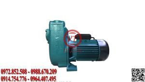 Bơm nước hút giếng sâu Lepono XHS 2000