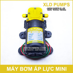 Bơm nước mini áp lực 12V 30W XLD 3.1L