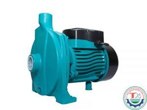 Bơm nước trục ngang Swirls TCP190 2HP