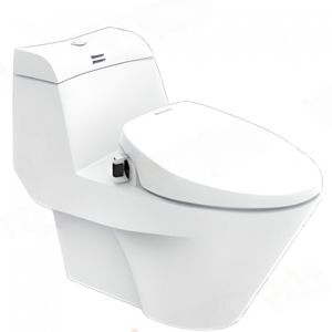 Bồn cầu 1 khối American Standard VF-2010S