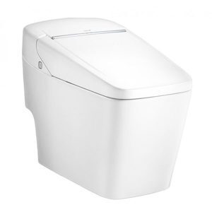 Bồn cầu 1 khối American Standard VF-2010S