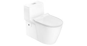 Bồn cầu 1 khối American VF-1808ET